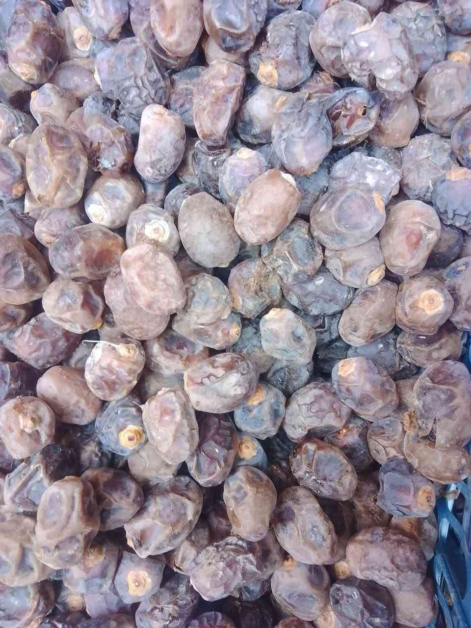 تمر برحي • جملة • نص طن