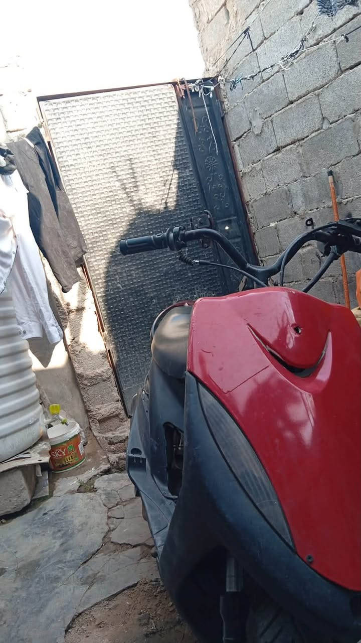 ماكس • ياباني • محتاجة تجفيت