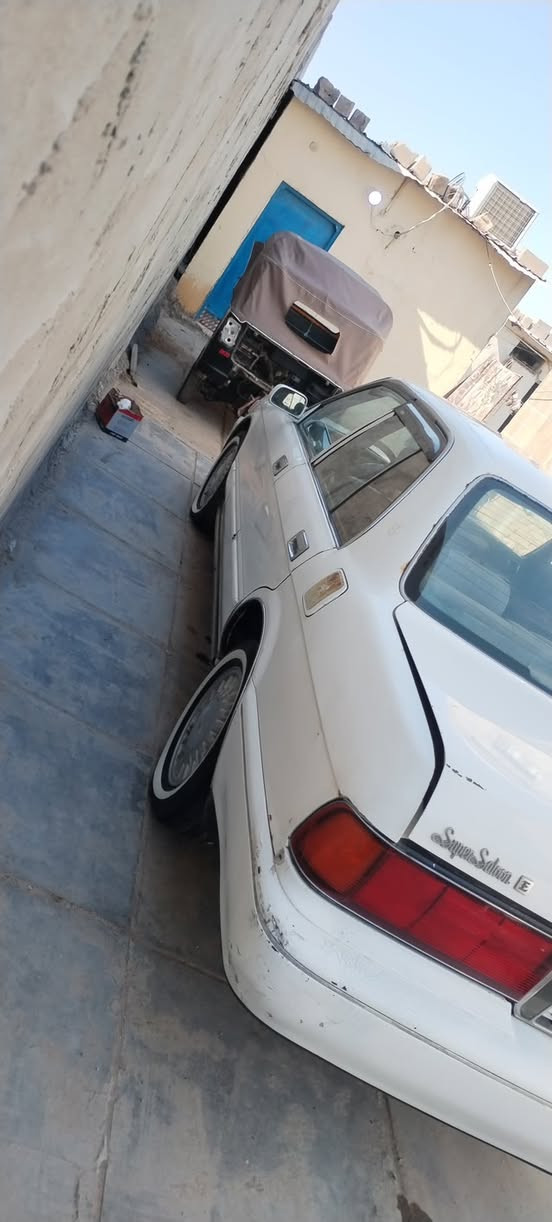 ارنب طويل • ١٩٩٥ • بصره