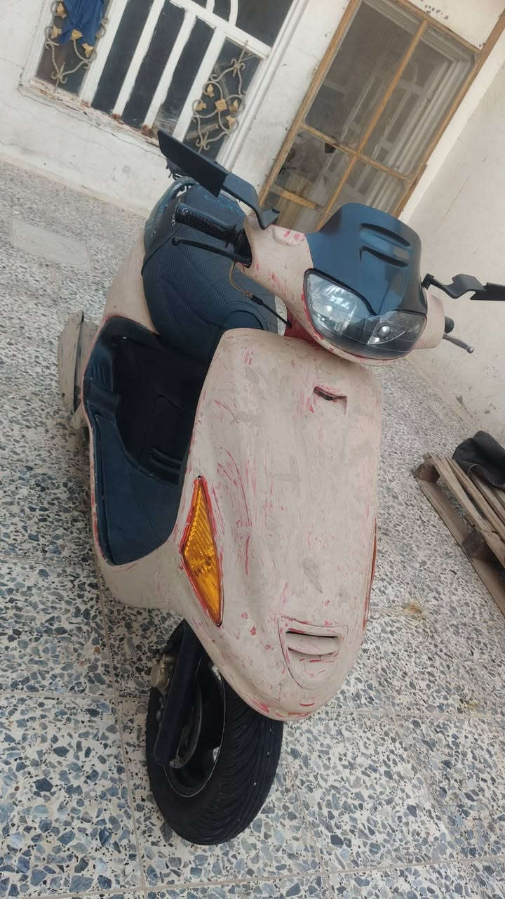 فراشة • فحل • طالعة من الحاويه
