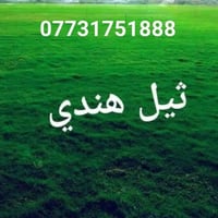 ثيل هندي • طبيعي • توصيل مجاني
