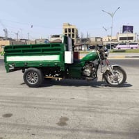 ستوتة ليفان • موديل 16 • اوراق اصولي