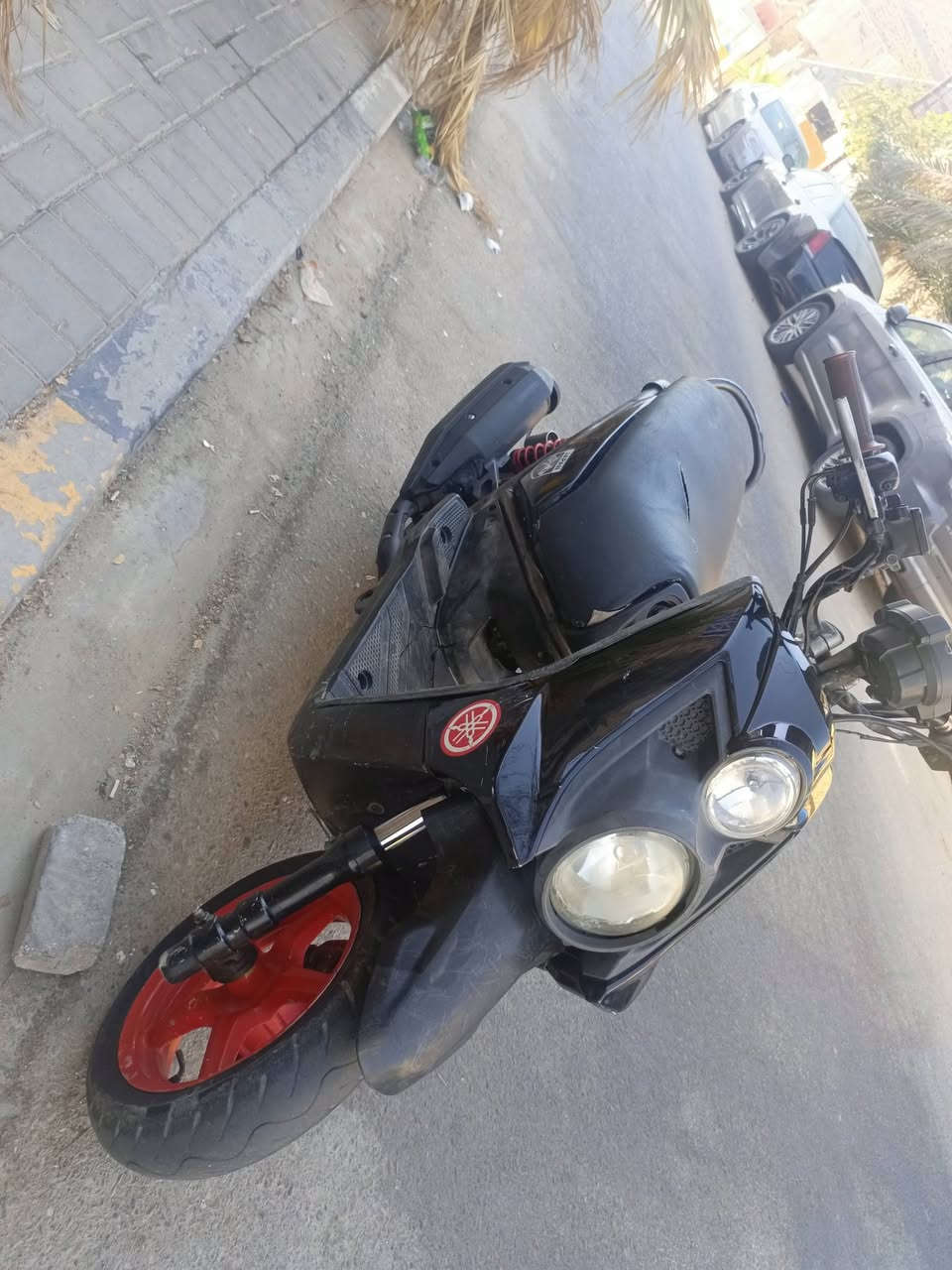 سلام عليكم سكنس جبلي كامله  سعر  مليون بيه مجال. يوجد مراوس
***********
