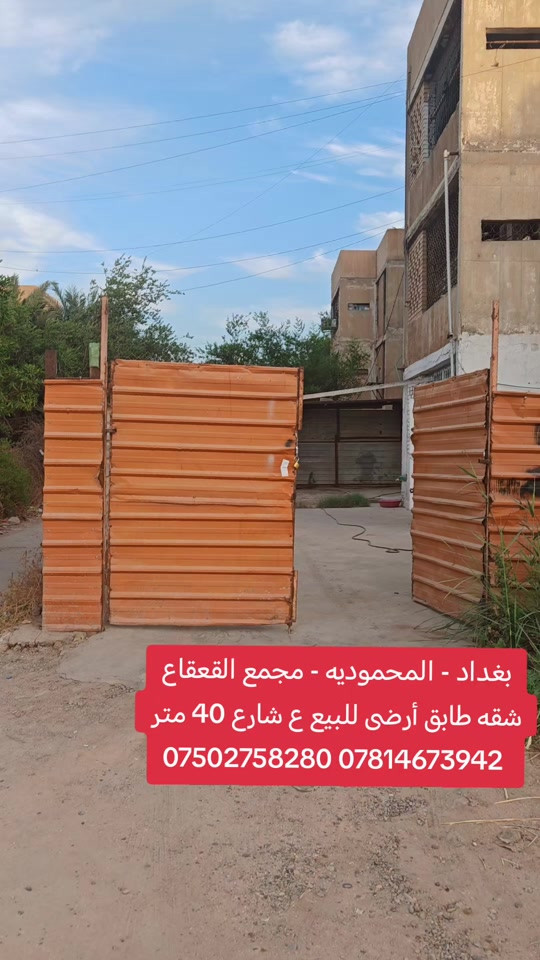 المحمودية • طابق أرضي • شارع ٤٠