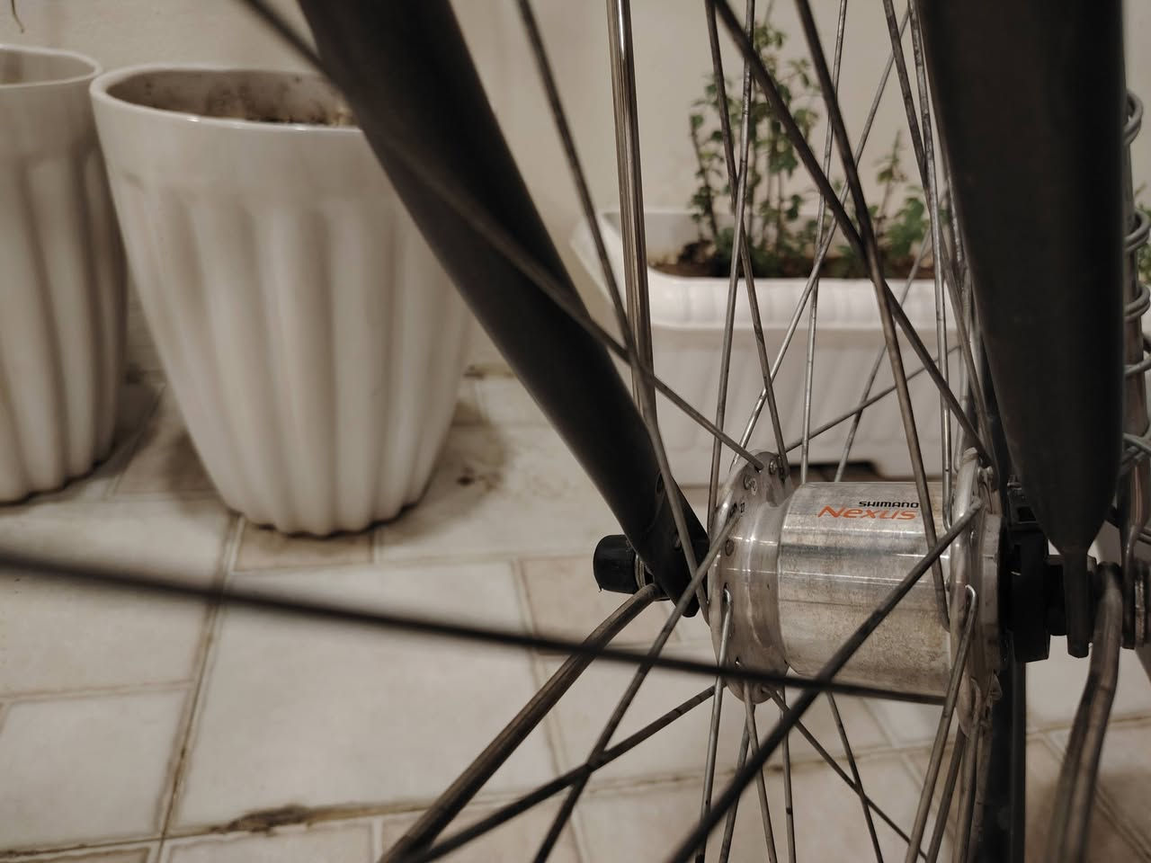 🚴‍♂️ بايسكل ياباني أصلي موديل (BIZ × NEO) – نظافة توب 🌟
للبيع دراجة هوائية يابانية أصلية بمواصفات عالية ونظافة ممتازة 
📌 المواصفات:
الهيكل (Frame): ألومنيوم/حديد خفيف متين جداً بلون رصاصي مميز (Gunmetal)، مريح جداً بالركوب وخالي من العيوب.
المنظومة والسرعات: كير Shimano Tourney أصلي 21 سرعة (3 قدامي \times 7 خلفي)، تحويل سريع وسلس مع مقبض Shimano RevoShift ونظام طقات SIS Index.
الإطارات : حجم 28 (700 \times 37C)، تاير محيطي هجين وسريع جداً للمدينة ينطي ثبات ممتاز وراحة بالطريق.
الإضاءة والكهرباء: هب أمامي ياباني أصلي Shimano Nexus (دينامو داخلي بالبوشة الأمامية) ينطي إضاءة للمصباح الأمامي بدون ما يثقل الحركة.
الملحقات الإضافية: غطاء سلسلة شفاف بلاد (Chain Guard)، جرس كلاسيكي ، مقابض فرامل PROMAX، ومقعد مرن ومريح.
الأصالة: يحتوي على ملصق الفحص والأصالة الياباني الرسمي (BBA/JISA).
دعاميات حماية : مزود بدعاميات طين ومي أمامية وخلفية لحماية الملابس أثناء الركوب.
🧼 حالة الدراجة:
الدراجة نظيفة وكاملة وما تحتاج تصرف عليها اي شي
السعر المطلوب: 190,000 دينار عراقي (بيها مجال بسيط للشراي)
المكان: [حي الحدباء]
للتواصل: [خاص او المراسلة على الرقم ***********]

