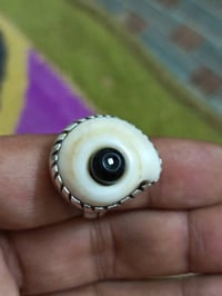 عطف بحري قديم ملوي حجم كبير السعر خاص اتصال واتساب 07805836513