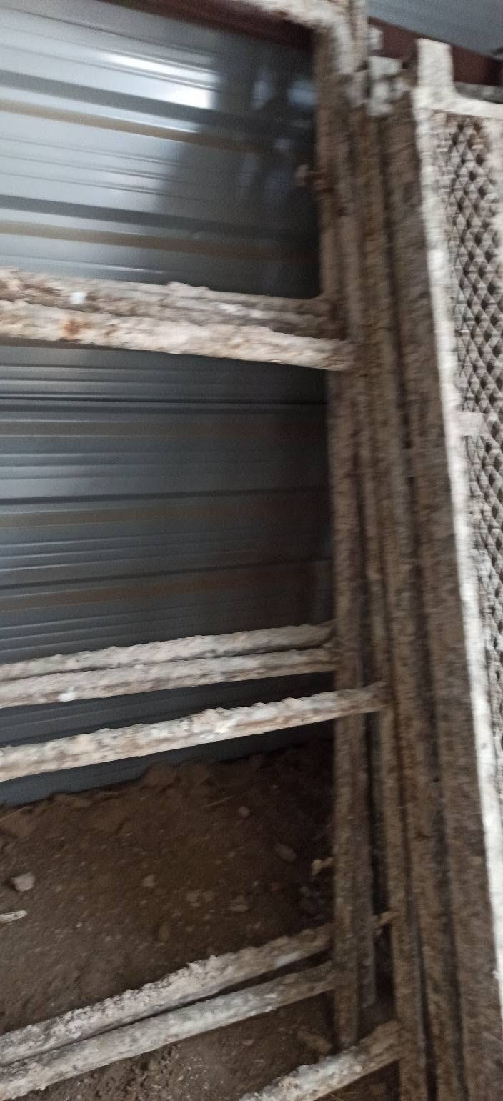 سكله كامله • بابل • ٦قفاص