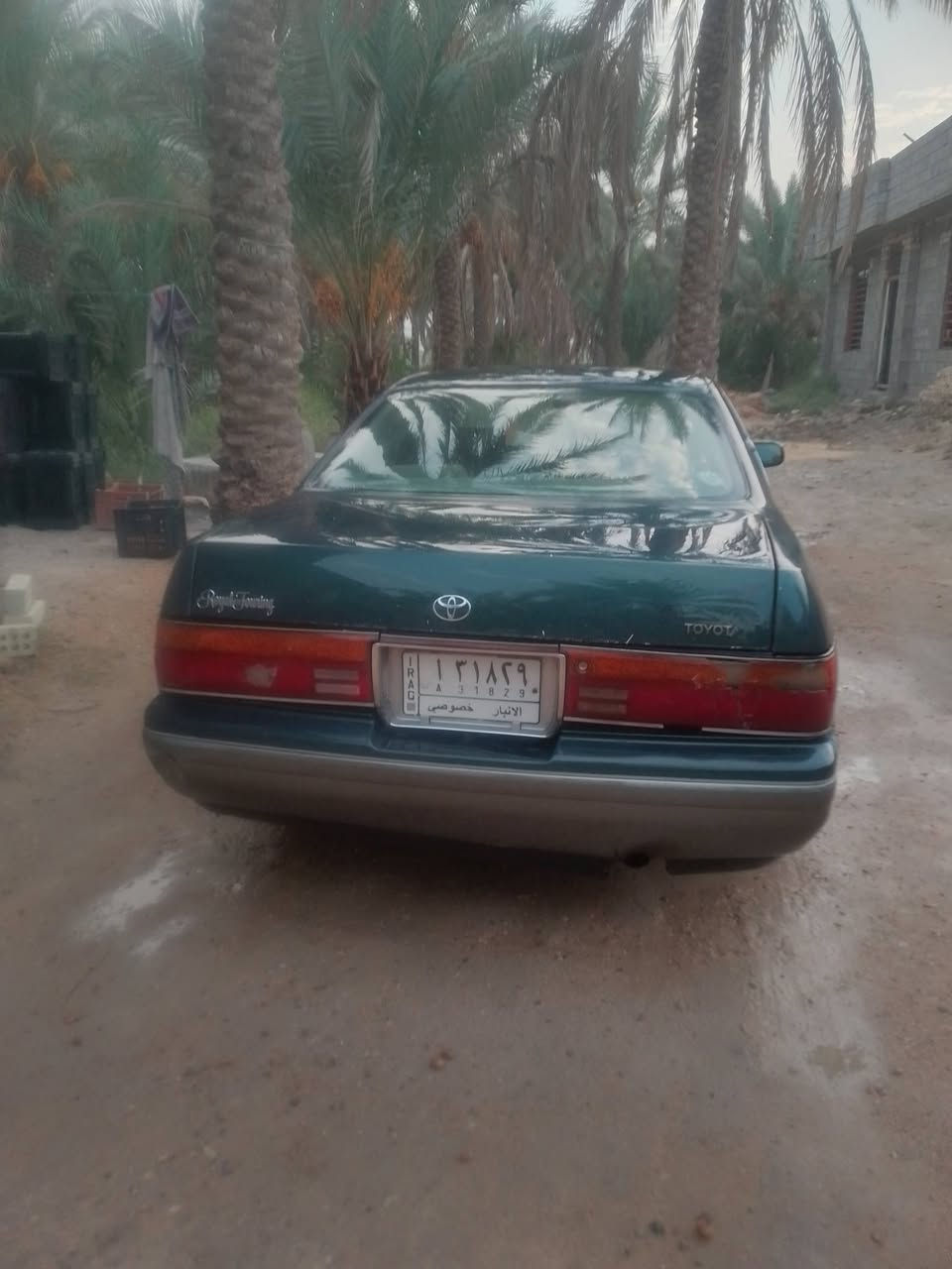 بطه كراون • ٩٣ • نقص غاز
