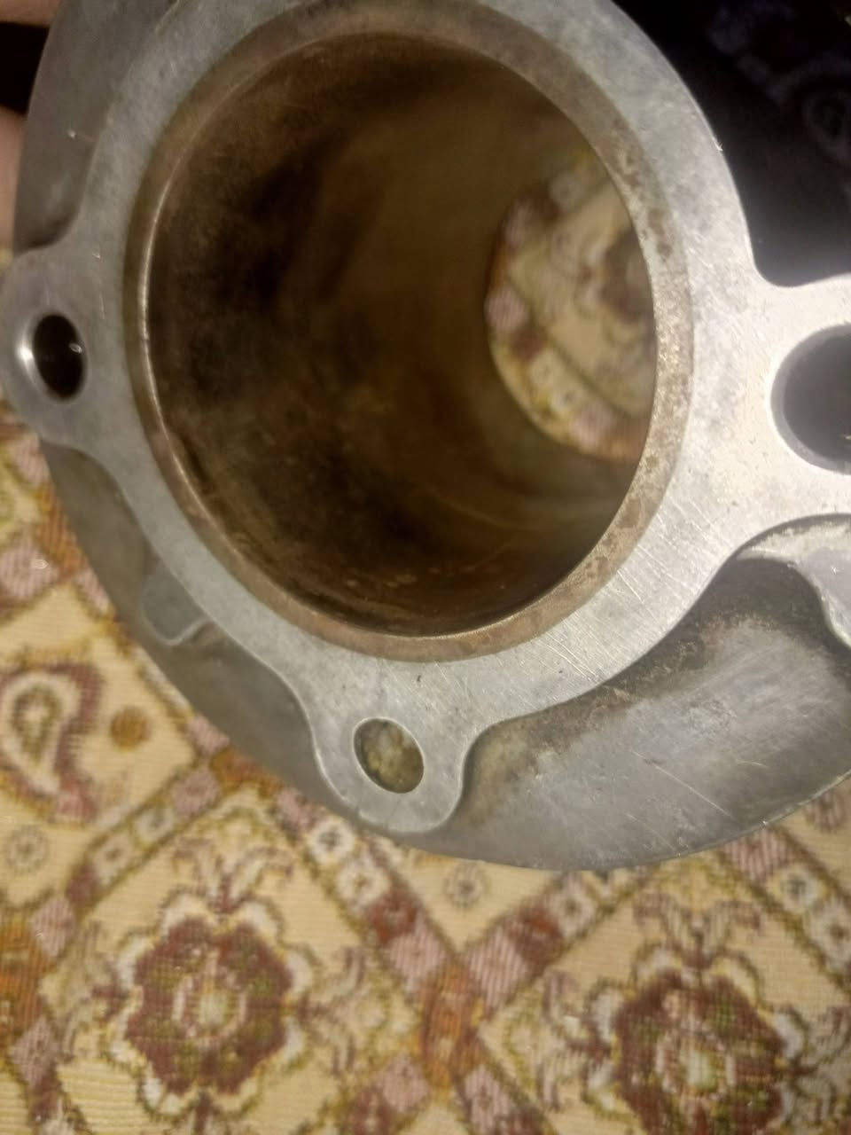 بوشة سكنس • ٥٨٫٥