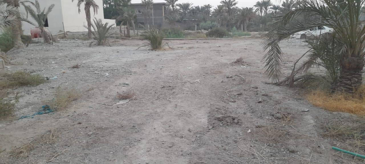الطريزاويه • ١١٠٤م • طابو صرف