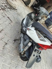 ماكس ثعلب • كفالة عامة • سلف