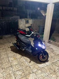سكنس فحل • ٥٨ ونص • زنون