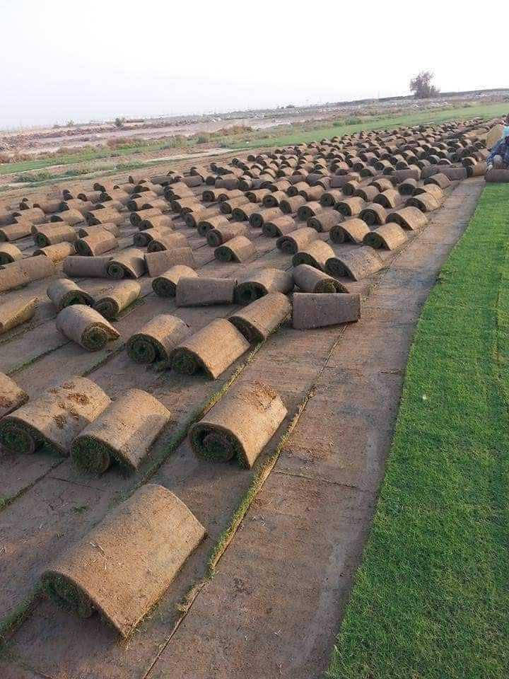 مزارع  ديالى للثيل الطبيعي 🍀
متوفر كافة انواع الثيل 🍀
( امريكي - الهندي - الايطالي - الفرنسي )
لتجهيز... مشاتل🌴
والدوائر حكوميه🏦
منازل🏡 
منتزهات🏄
موجود خدمة توصيل 🚕
لكل محافظات العراق 🚕
للطلب يرجى التواصل مع الصفحة او مراسلة واتساب او الاتصال على :
***********‏##‏‪***********‬‏
