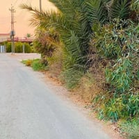 ٧ دوانم • طابو زراعي • نهرين
