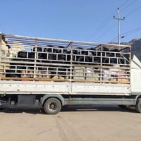 اتیکو بۆ فڕۆشتن هه مو گیانی بە شە رت نونە لە جوانی سە ناوی نویە تە قم ...