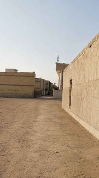 قطعة ارض 60 متر للبيع زراعي الربيع محادده البيت بنيه الفرع الرابع يسار...