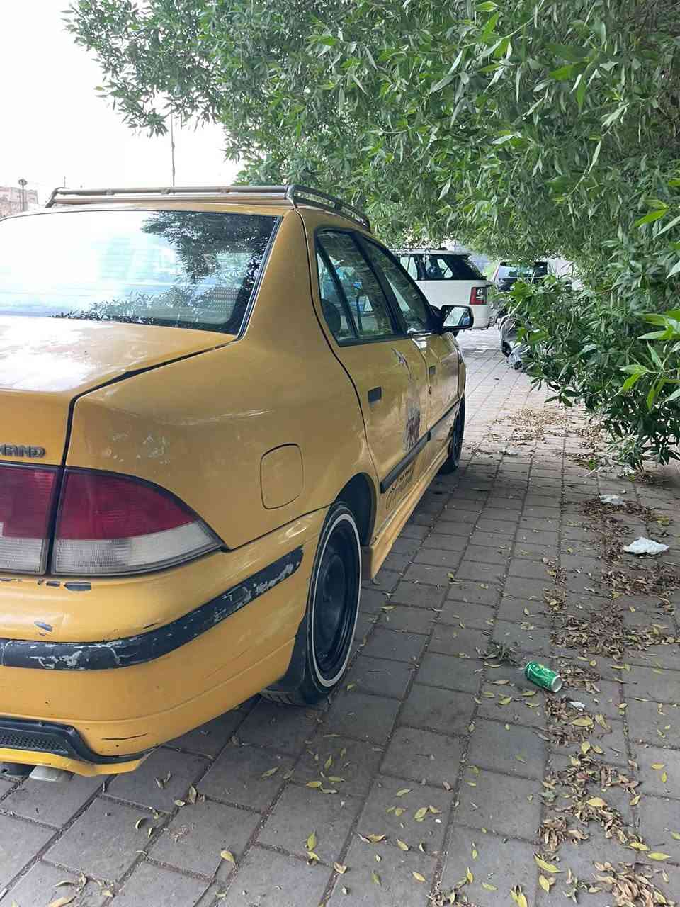 ٢٠١٠ • مراوس عادي