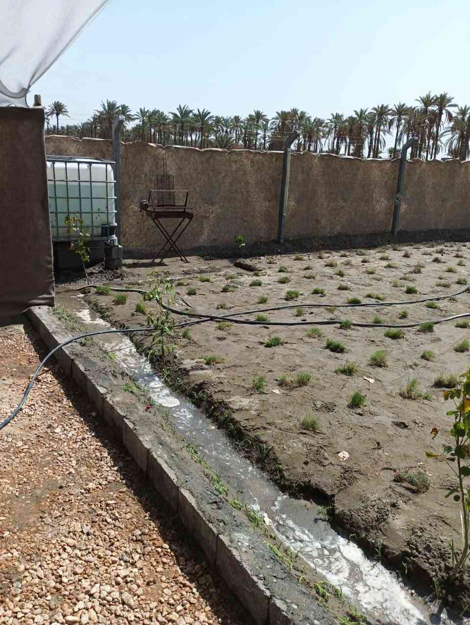 يالله قطعه للبيع بالبكرلي نقابة المعلمين  القطعه عبارع عن شالي مرتب مكان سياحي او متنفس طابو زراعي سند 25 مساحتها 200 متر باسم الشخص نفسه 
القطعه مرتبينها ومسويها كلش مرتبه ومزروعه اشجار وبيها ماء اساله وطاقه شمسيه وبيها صحيات ومكان شوي الاسماك 
مرتبه وحلووه 
السعر 20 وبيها مجال
لليرغب بالشراء او عرض عقاره للبيع او الايجار مراجعة مكتب عقارات حسين المعموري الكائن في البكرلي 
او الاتصال على الرقم *********** او واتساب

