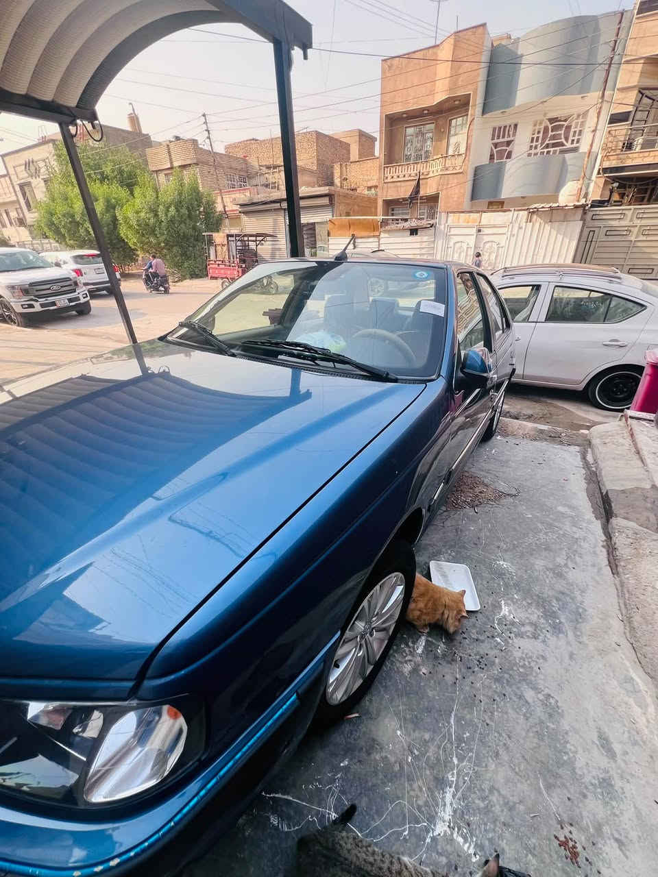 بارص • ٢٠٢٥ • شعب السراي