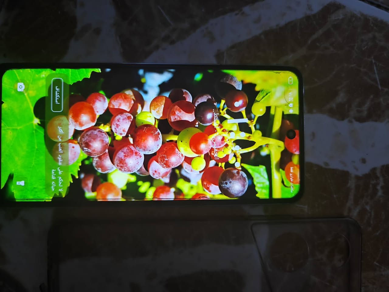 جهاز تكنو بوفا 5g
مبدل فقط شاشه واصليه 
ببجي 60 فريم 

مكاني بغداد دوره 

ه‍ *********** فقط وتساب 

سعر 150 وبي مجال 

هذه ضهر لون واكع
