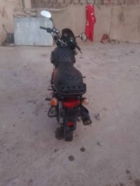 بوكسر • عالفيس • للبيع