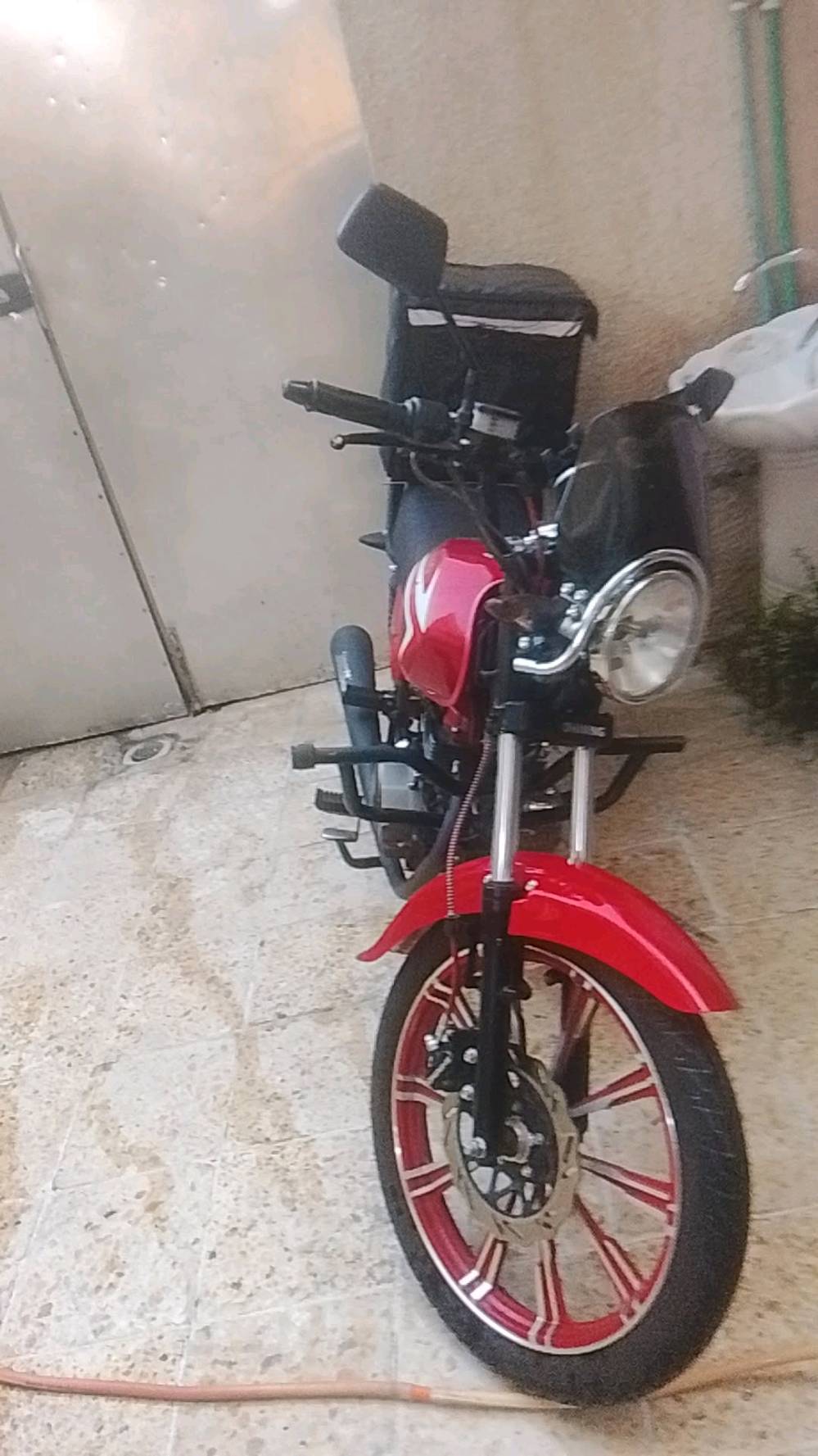شاينك • ٢٠٢٥ • مكفوله