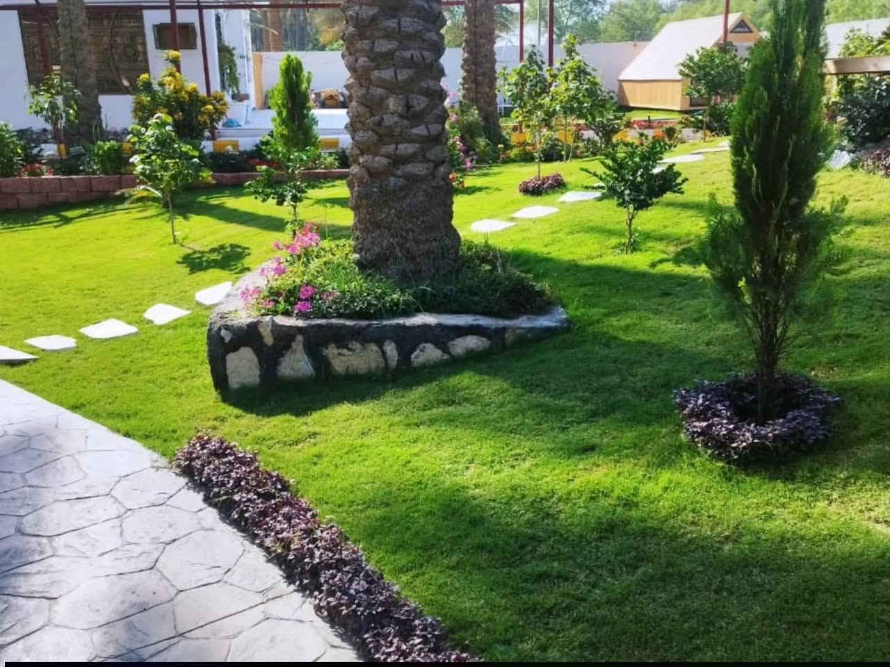 عمل حدائق بأحدث الديكورات 
تقليم . .زراعه ..قص ثيل 
توصيل زرع فقط كلشي متوفر 
***********  ابو فاطمه
