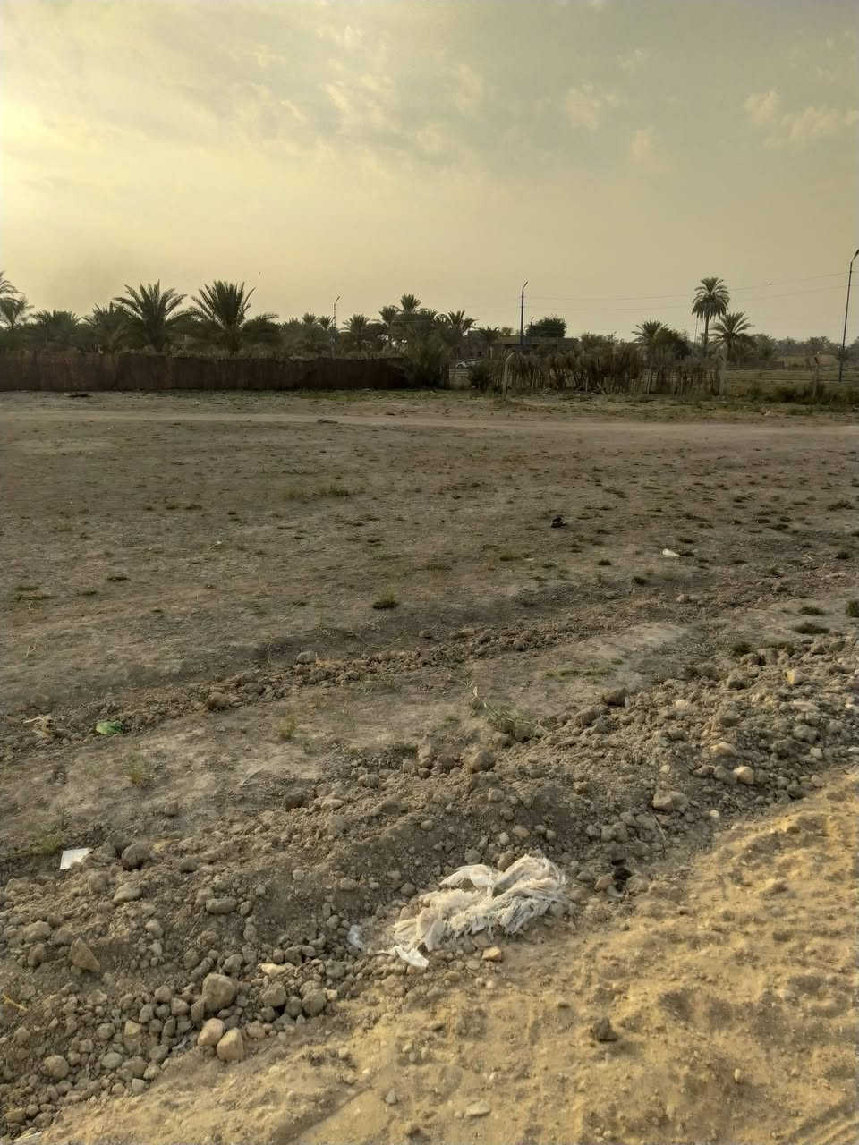 قطع أرض • بابل الزراعي • من ١٥٠م