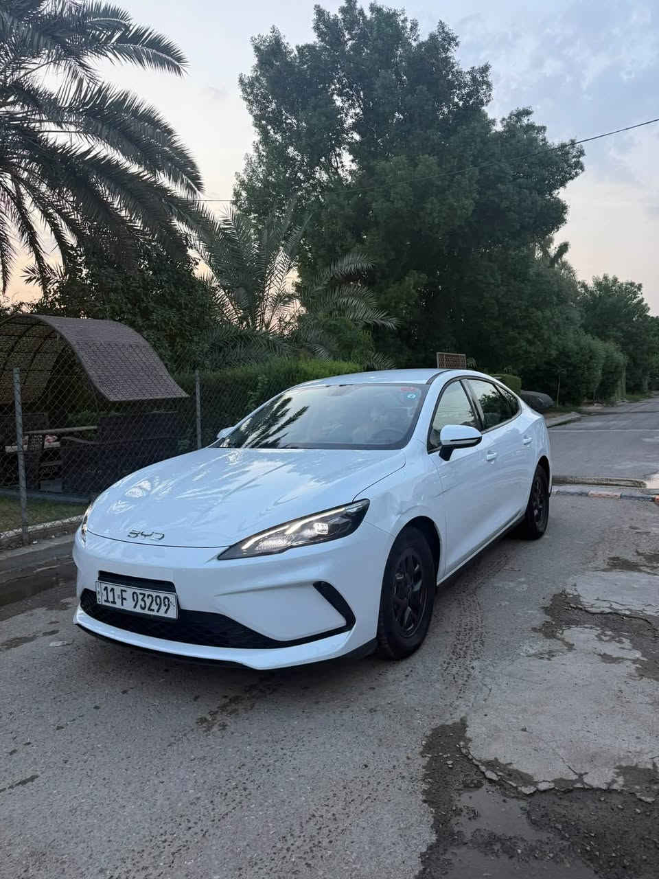بي واي دي سيل 5 • ٢٠٢٥ • شاشة يوتيوب