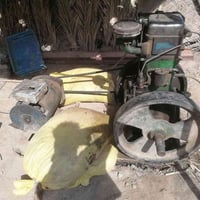 مولده • شغاله