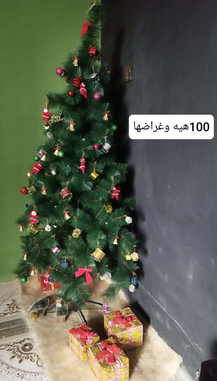 تلفزيون • ميز • صوبه