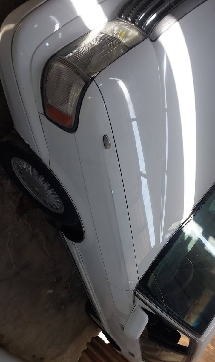 السلام عليكم ارنب للبيع رقم بصره السعر 65 عنواني بصره الزبير
***********
