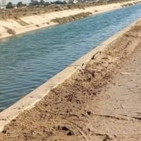 أرض زراعية • ٢٦٫٥ دونم • الثريمة عفك