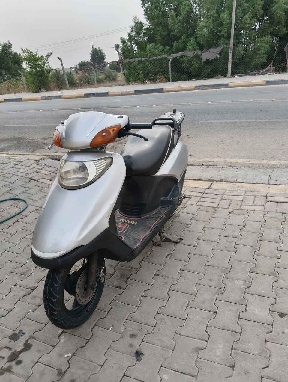 سبيسي • ياباني • كوت الفلاحيه