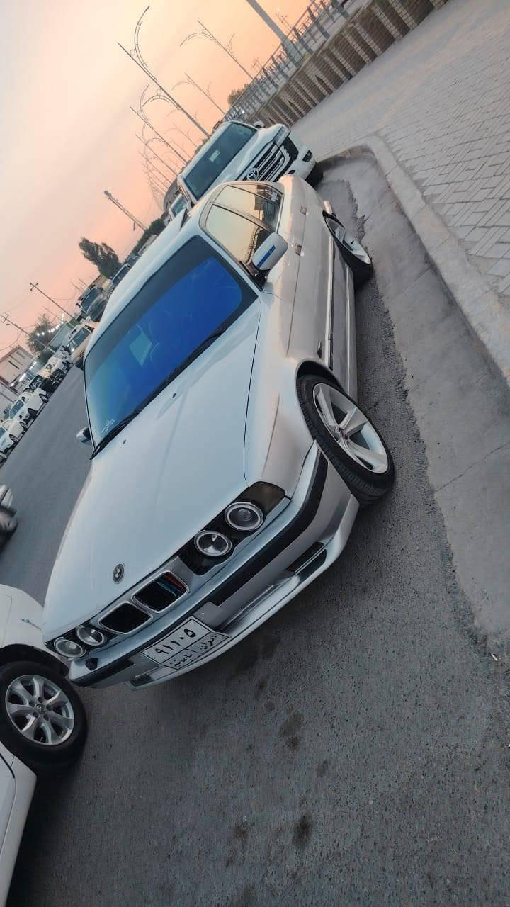 مراوس بكماروو
السعر 65

