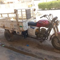 ستوته • ٢٠١٤ • اوراق كامله