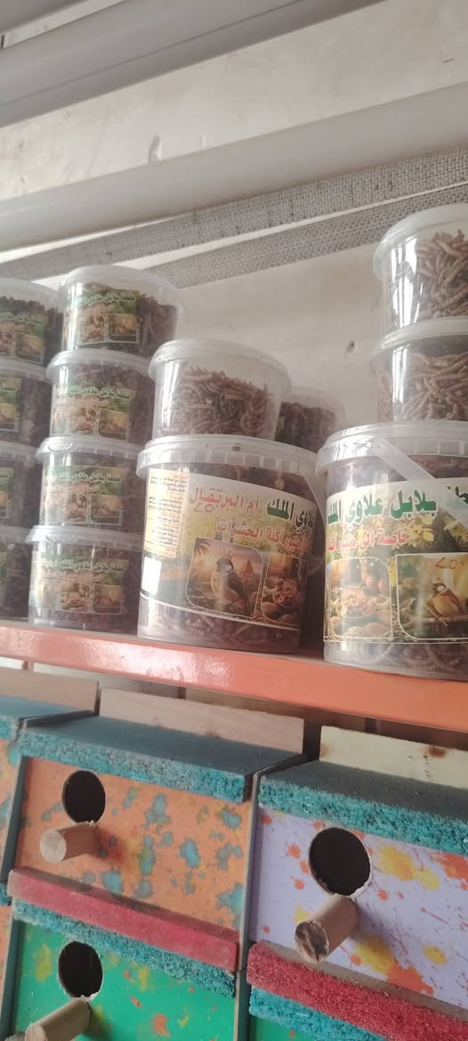 السلام عليكم  متاح اعلاف اعلاف درجه اولى ومخلوط الكافي انواع الطيور خلطات بلابل اقفاص  اقفاص كهف انواع الطيور طيور الحب هاجر مو طيره وفحل طيره وفحل هن وافراخهن منتجات صحه ونشاط خير من الله العنوان واسط قضاء الاحرار الحسينيه سوق سوق الاحرار مقابيل جمله حسن والي مكلف بالنشر مكلف بالنشر ه هذا رقم راعيهن وتصل  على الطيور ***********

