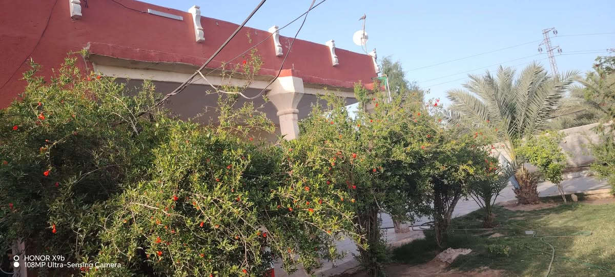 السلام عليكم بيوت عدد اثنين
مع مشتمل للبيع في حي رشيد قريب علئ مستشفئ الامام علي (ع) 
المساحه الكليه 1400 متر  مساحه البنيان 870 متر  مساحه الفارغه 530 الخدمات متوفره 
اساله كهرباء مولد تبليط مدرسه قريبه
موقعه تجاري يصلح محلات مع محطه ماء  مع  غرف عدد اثنين 5_4 مضيف 8_4 مطبخ كله سراميك وسقف ثانوي 4_4 هول 10_4 البيت الثاني نفس الغرف بس مابي مضيف مطبخ خارجي مجمع صحيات وحمام خارجي الاستفسار على هاي الارقام      ***********  ***********   رجاء ما يحب يشتري يعبر المنشور بدون تعليقات سلبيه

نص مكتوب في الصور:
- O HONOR X9b
- 108MP Ultra-Sensing Camera
- HONOR X9b