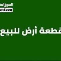 ١٥٠م • شارع ٣٧ • سند ٢٥
