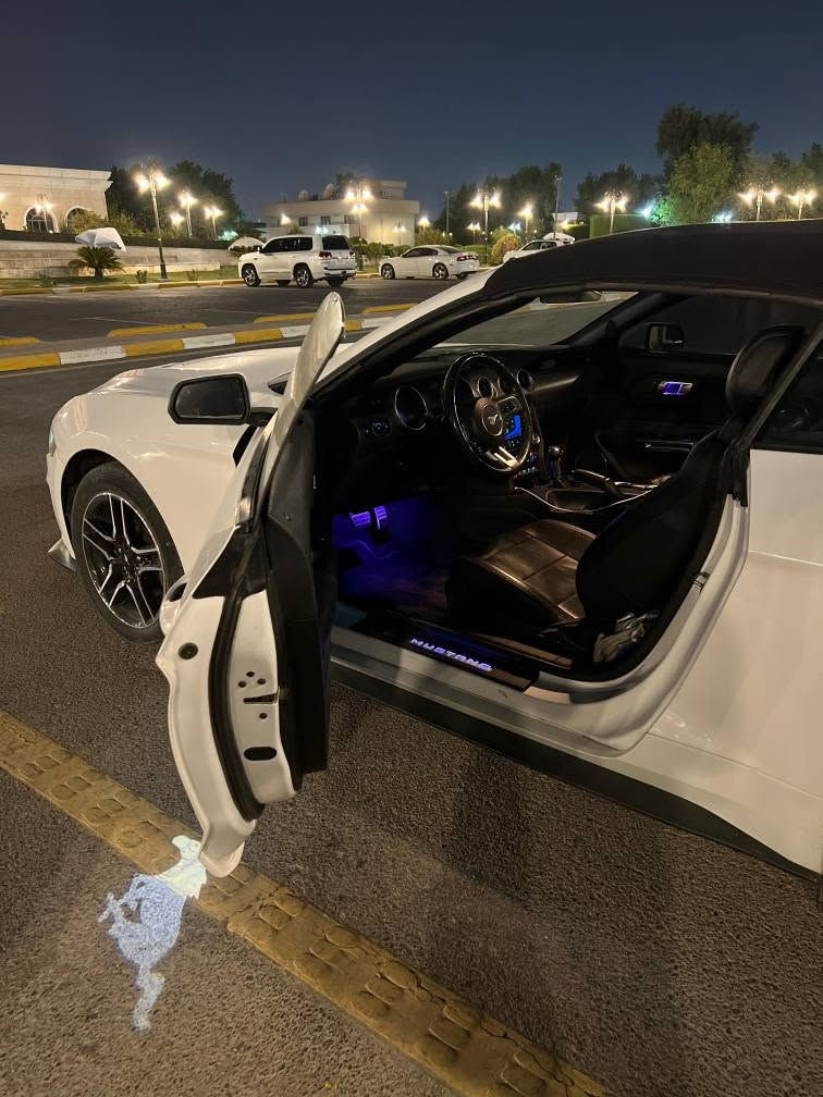 السلام عليكم... 

موستنك ايكو فول بريميوم كشف 

رادار امامي وجانبي 

تصحيح مسار

ترحيب بالمرايا

كشنات كهربائيه جلد وتبريد وتدفئه بالكشنات

بصمة ابواب

دشبول 7 الوان 

تشغيل عن بعد

موديل 2022

ماشية 35 الف ميل 
ايرباك ستيرن فقط

حادث السيارة بجم ايمن والقطع چاملغ ايمن وبنيد فقط والجاملغ الايسر مصبوغ بامريكا 

كير مكينه اكسل مكفولات السياره بدون اي خلل 

مكان السياره بغداد الدوره

رقم صاحب السيارة
*********** بغداد, العراق
