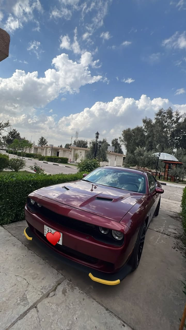 جالنجر SXT • V6 ٣٦٠٠ • رقم أربيل