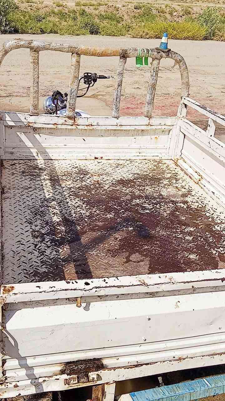 ستوته • اوراق ستنساخ • الشطرة