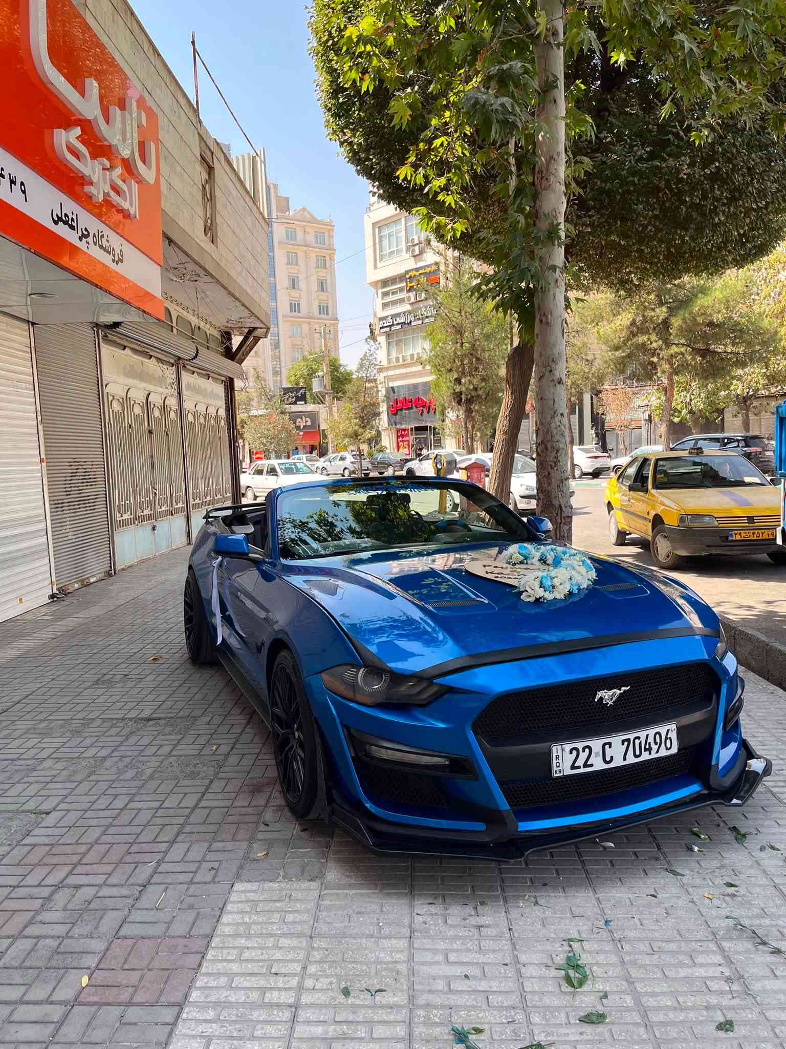 مدل 19ایکو بدون ارباک شواصی سلیم 3قطع صبوغ   بیع فقط سعر 118اکو مجال مکان سلیمانیه ***********واتساپ فقط

نص مكتوب في الصور:
- 3/3