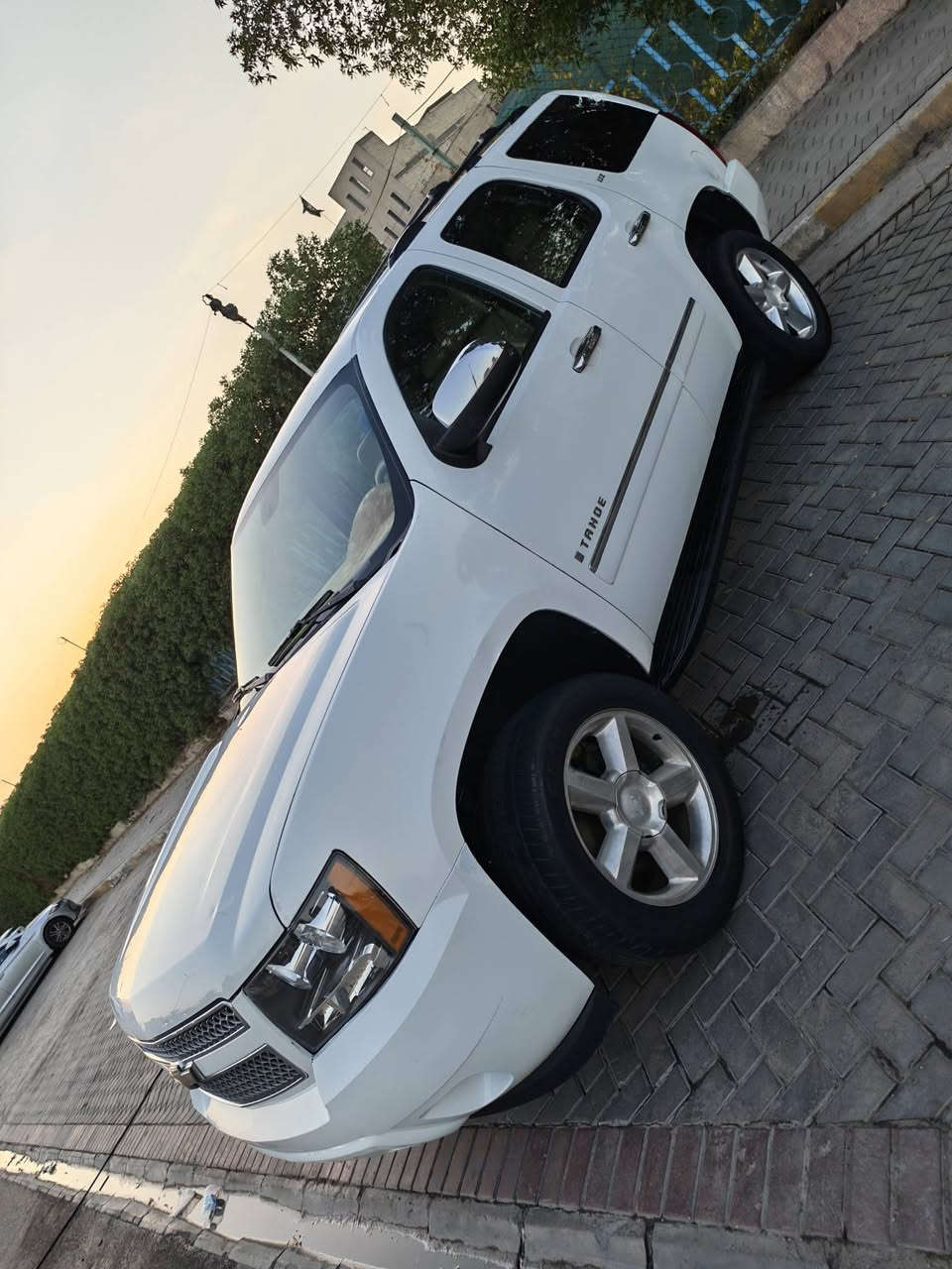 تاهو دخول جديد ١١ جاهزة مكينة كير حدادية تبريد
فول سيارة التي زت
جنطة كهربا
ويل كروم
داخل بيجي
للاستفسار خاص
او ***********
بيع مرواس ترهم مكلف مال صديقي
مكانه بغداد
