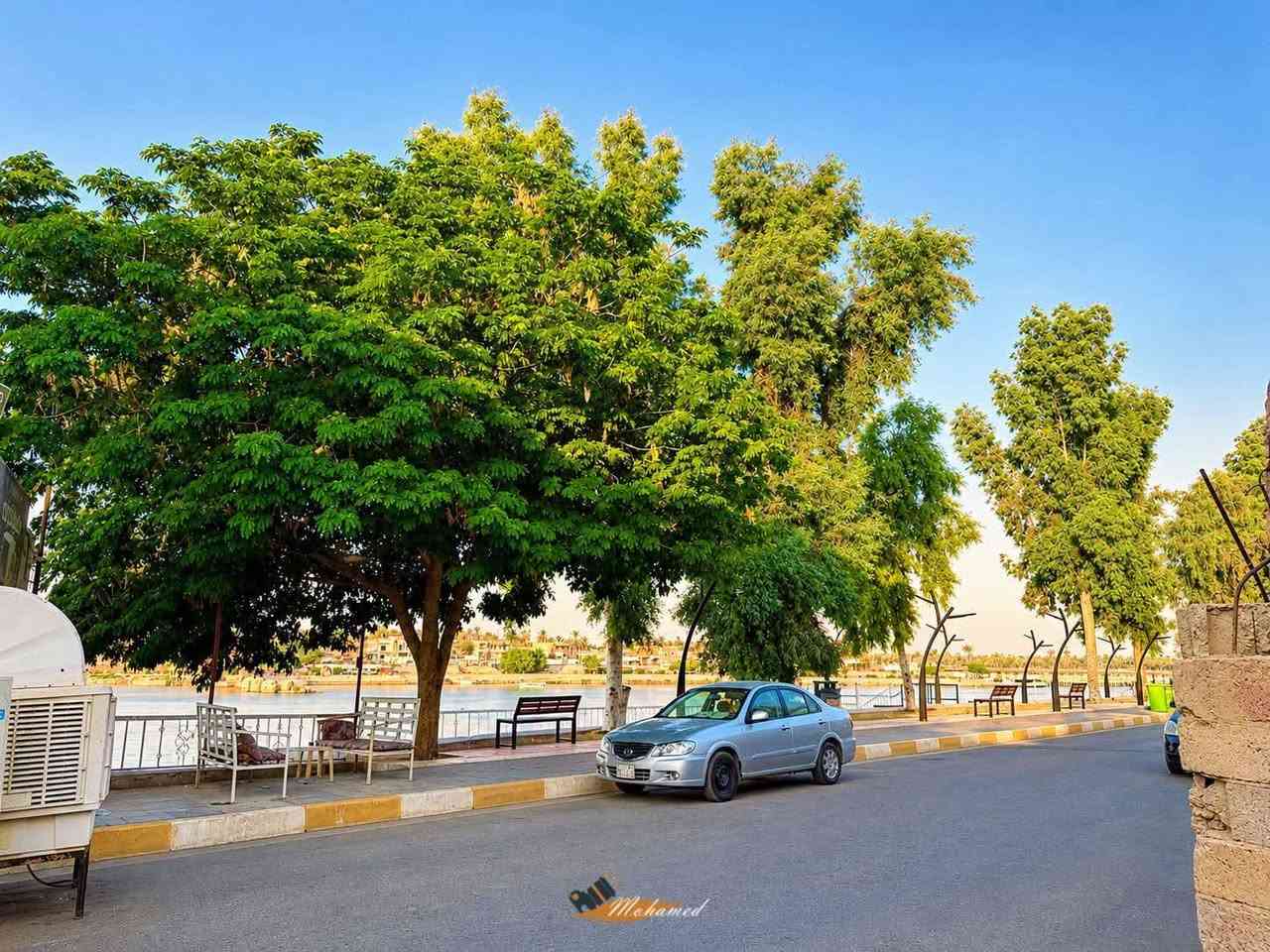 🌱 شتلات الألبيزيا لبخ متوفرة الآن 🌳

لأصحاب حملات التشجير والحدائق والمزارع وكل محبي الزراعة 🌿

نوفر لكم شتلات الألبيزيا (لبخ) بجودة جيدة وبأسعار مناسبة، وبأحجام تبدأ من:

📏 75 سم إلى أكثر من متر
💰 السعر: 1,500 دينار فقط للشتلة

🌳 مناسبة للتشجير، الحدائق، المزارع والمساحات الخضراء.

📍 العنوان: تكريت – شارع الباشا
🚚 يتوفر توصيل داخل تكريت فقط

📞 للطلب والاستفسار:
***********
📲 الاتصال متوفر واتساب

🌱 ازرع اليوم… واجعل المكان أجمل غدًا 🌱
