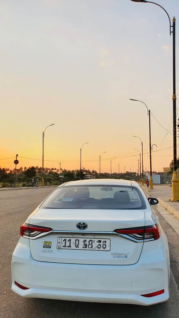 كورلا هايبرد • ٢٠٢٤ • رقم بغداد
