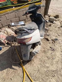 فراشه • فحل • ماتشتغل