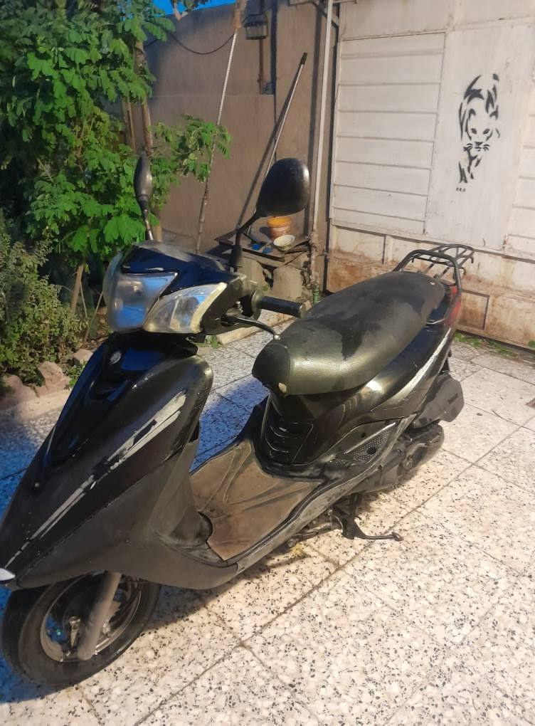بغبغاء • ياباني • ٢١ الف