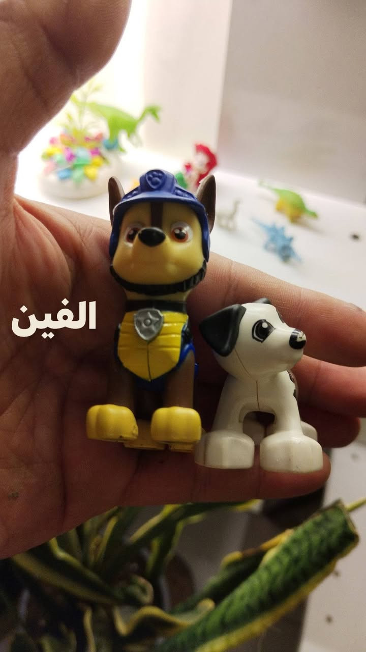 واتساب ***********
