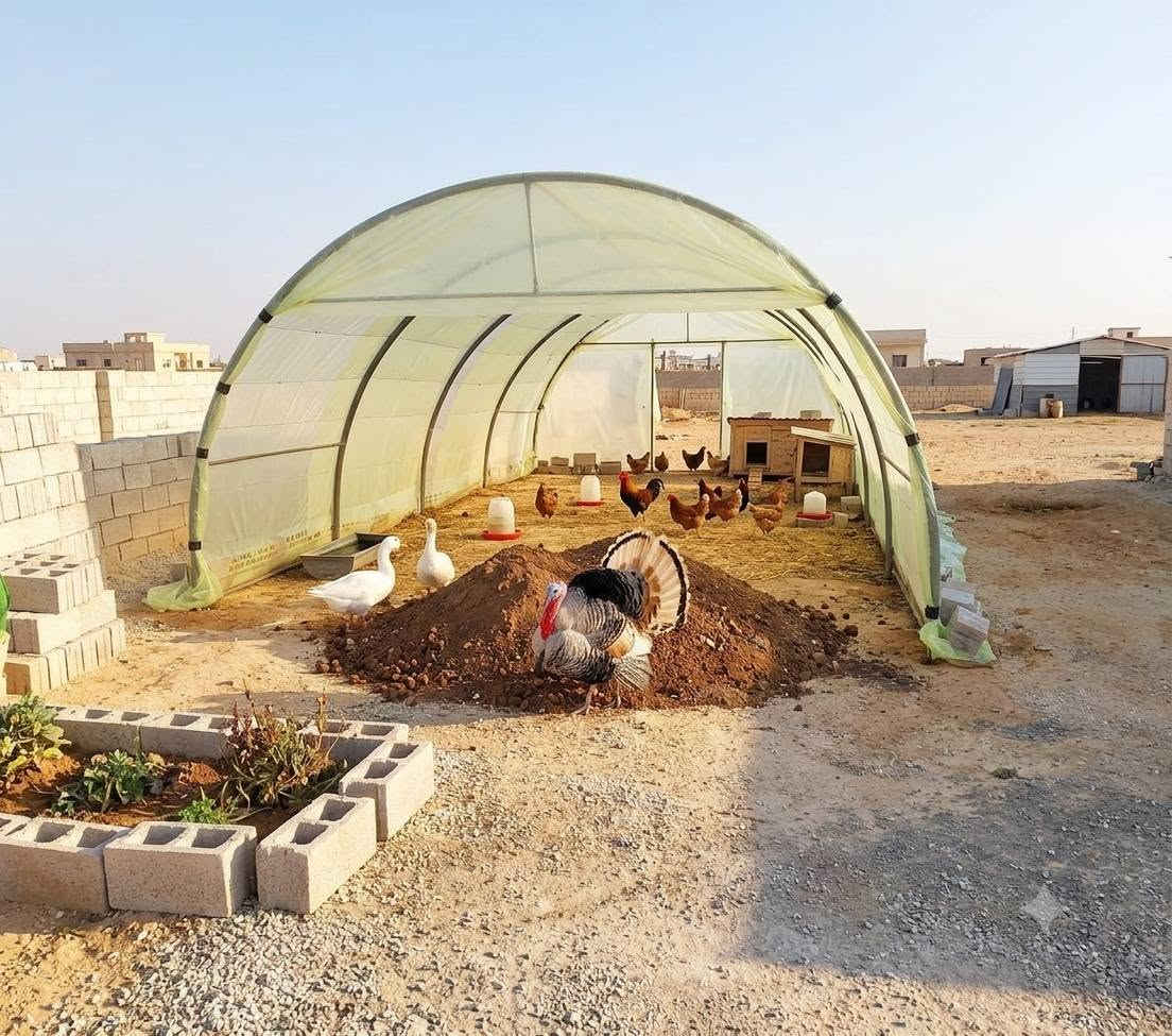 کۆگای ڕێباز تۆربەی  بۆفرۆشتنی باشترین جۆری گەراجو بەیتی6بە4ر بەهەرزانترین نرخ دانەی80000هەزارە ناونیشان دووسایدی گشتی چوارقوڕنە گرجان بەرامبەر گوندی گرجان کۆگای ڕێباز تۆربەیی ژم***********ئاسیا***********گەیاندنیشمان هەیە
